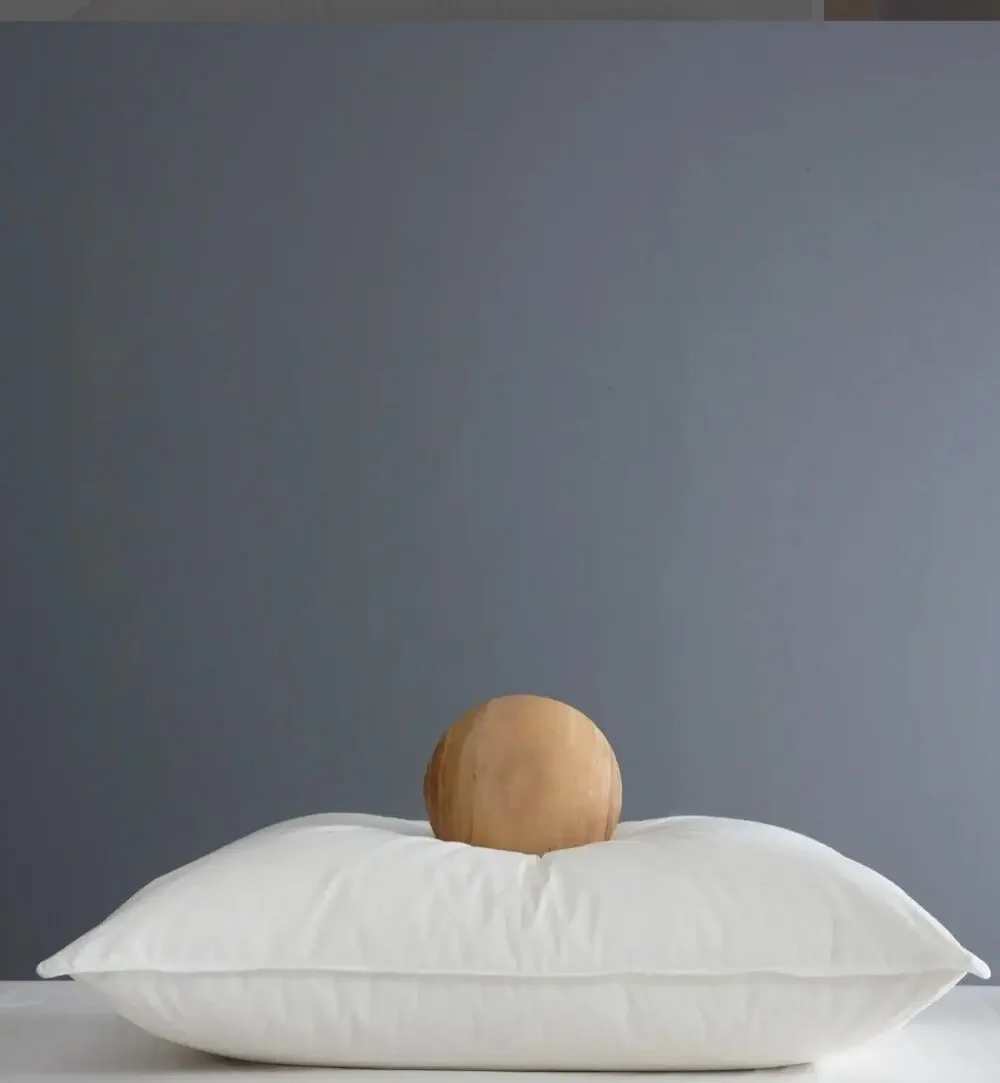 Quince Luxe Standard Goose Down Medium Pillow - NEW